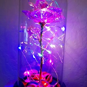 Pink galaxy rose led gold plated glass dome